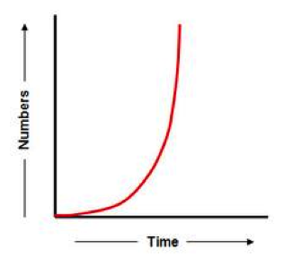 Link velocity graph Link velocity graph